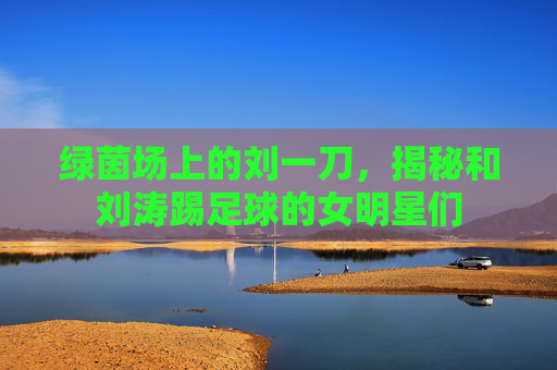 绿茵场上的刘一刀,揭秘和刘涛踢足球的女明星们