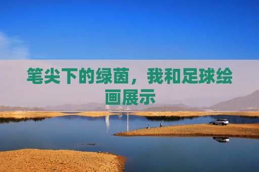 笔尖下的绿茵,我和足球绘画展示