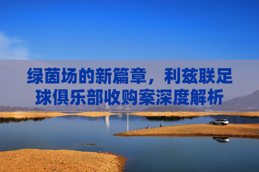 绿茵场的新篇章,利兹联足球俱乐部收购案深度解析