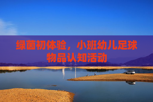 绿茵初体验,小班幼儿足球物品认知活动