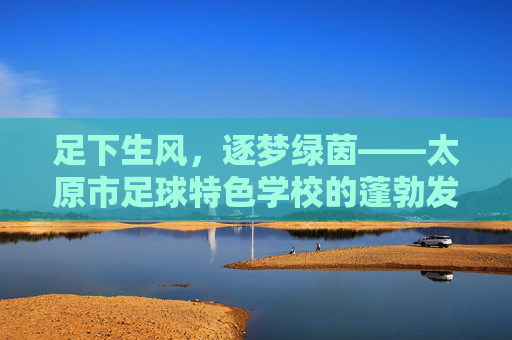 足下生风，逐梦绿茵——太原市足球特色学校的蓬勃发展之路