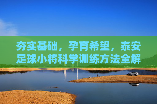 夯实基础,孕育希望,泰安足球小将科学训练方法全解析