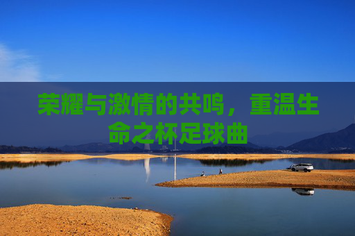 荣耀与激情的共鸣，重温生命之杯足球曲