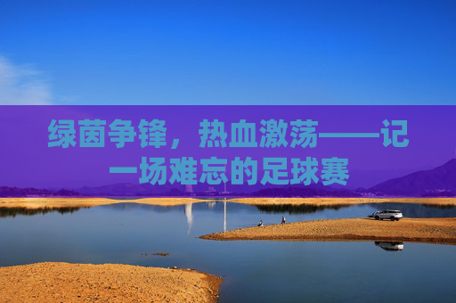 绿茵争锋，热血激荡——记一场难忘的足球赛