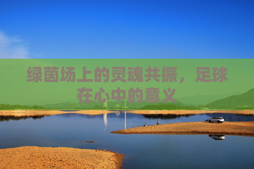 绿茵场上的灵魂共振，足球在心中的意义