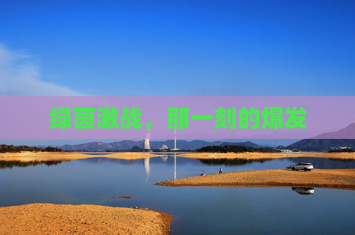 绿茵激战,那一刻的爆发
