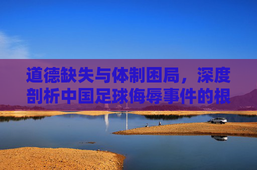 道德缺失与体制困局，深度剖析中国足球侮辱事件的根源