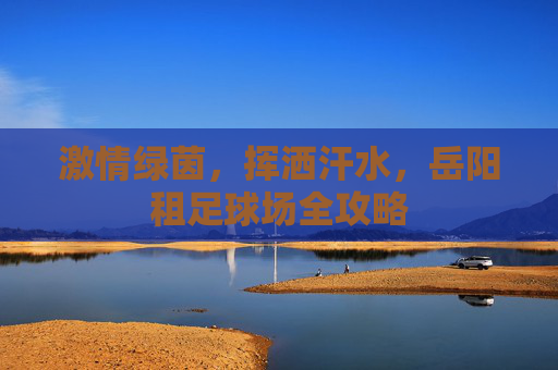 激情绿茵,挥洒汗水,岳阳租足球场全攻略