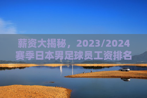 薪资大揭秘，2023/2024赛季日本男足球员工资排名一览