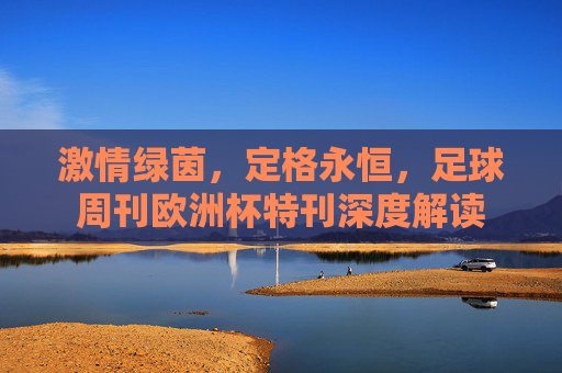 激情绿茵，定格永恒，足球周刊欧洲杯特刊深度解读