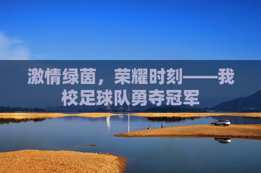 激情绿茵，荣耀时刻——我校足球队勇夺冠军