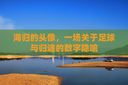 海归的头像,一场关于足球与归途的数字隐喻