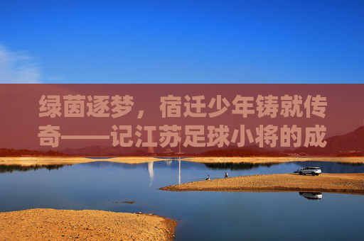 绿茵逐梦,宿迁少年铸就传奇——记江苏足球小将的成长之路