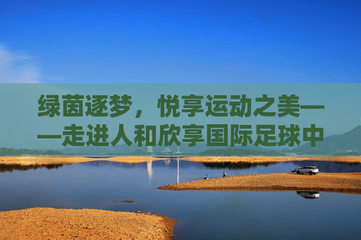 绿茵逐梦，悦享运动之美——走进人和欣享国际足球中心