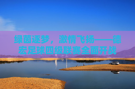 绿茵逐梦,激情飞扬——德宏足球四级联赛全面开战
