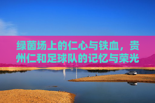 绿茵场上的仁心与铁血,贵州仁和足球队的记忆与荣光