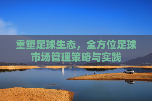 重塑足球生态,全方位足球市场管理策略与实践