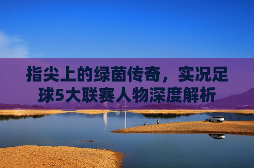 指尖上的绿茵传奇，实况足球5大联赛人物深度解析
