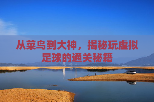 从菜鸟到大神，揭秘玩虚拟足球的通关秘籍