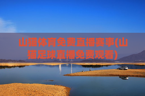 山猫体育免费直播赛事(山猫足球直播免费观看)