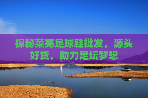探秘莱芜足球鞋批发，源头好货，助力足坛梦想