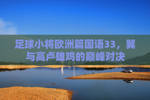 足球小将欧洲篇国语33，翼与高卢雄鸡的巅峰对决