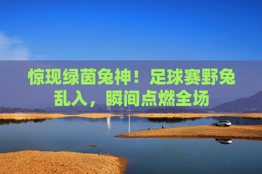 惊现绿茵兔神！足球赛野兔乱入，瞬间点燃全场
