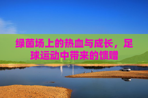 绿茵场上的热血与成长,足球运动中带来的馈赠