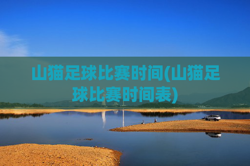 山猫足球比赛时间(山猫足球比赛时间表)