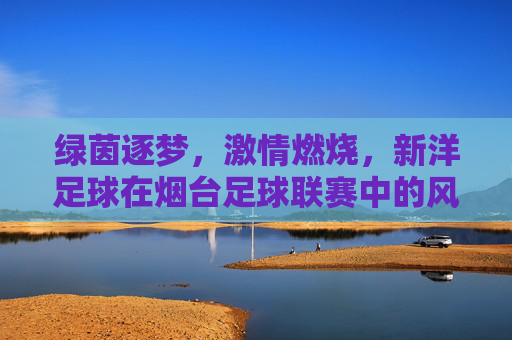 绿茵逐梦，激情燃烧，新洋足球在烟台足球联赛中的风采