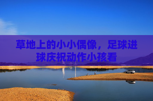 草地上的小小偶像，足球进球庆祝动作小孩看