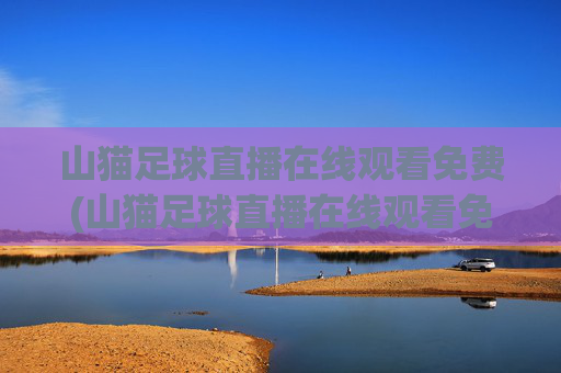 山猫足球直播在线观看免费(山猫足球直播在线观看免费视频)