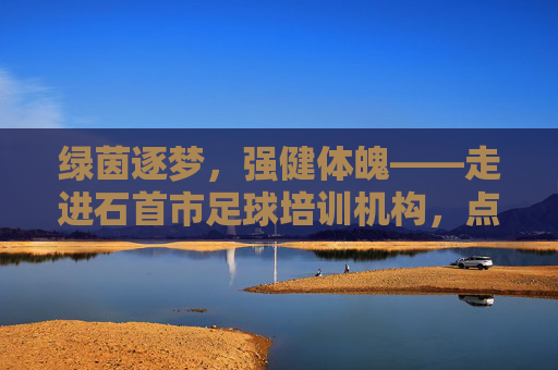 绿茵逐梦，强健体魄——走进石首市足球培训机构，点燃孩子的运动激情