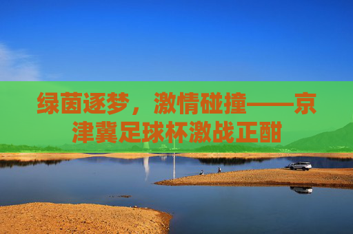 绿茵逐梦，激情碰撞——京津冀足球杯激战正酣
