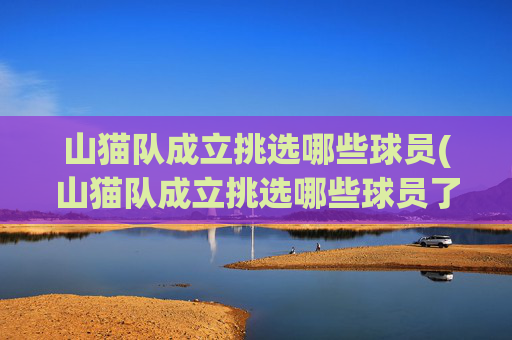 山猫队成立挑选哪些球员(山猫队成立挑选哪些球员了)