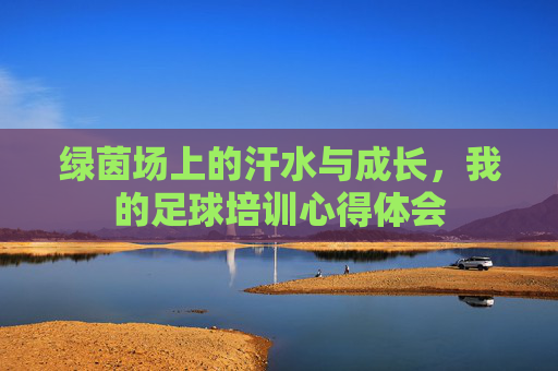 绿茵场上的汗水与成长,我的足球培训心得体会