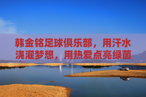 韩金铭足球俱乐部,用汗水浇灌梦想,用热爱点亮绿茵