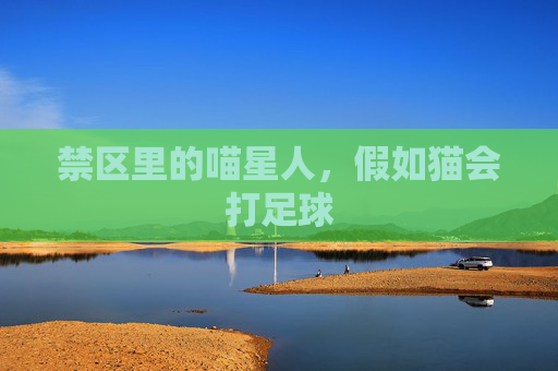 禁区里的喵星人，假如猫会打足球