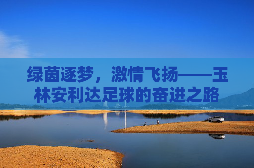 绿茵逐梦，激情飞扬——玉林安利达足球的奋进之路