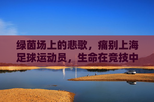 绿茵场上的悲歌,痛别上海足球运动员,生命在竞技中如何安放?