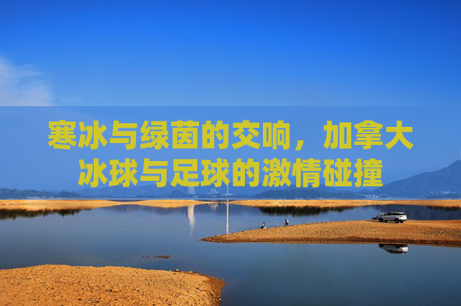 寒冰与绿茵的交响，加拿大冰球与足球的激情碰撞