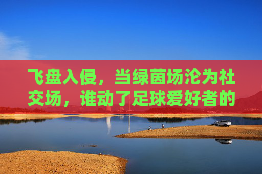 飞盘入侵,当绿茵场沦为社交场,谁动了足球爱好者的地盘?