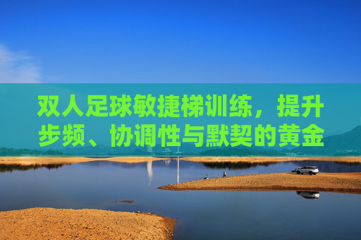 双人足球敏捷梯训练，提升步频、协调性与默契的黄金法则