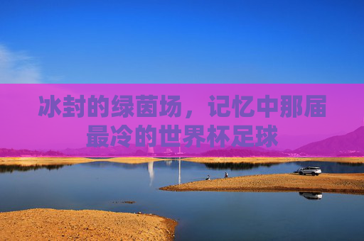 冰封的绿茵场,记忆中那届最冷的世界杯足球
