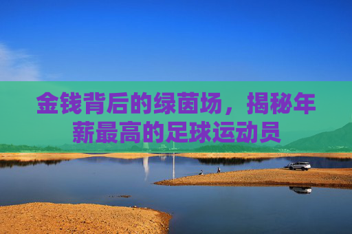 金钱背后的绿茵场,揭秘年薪最高的足球运动员