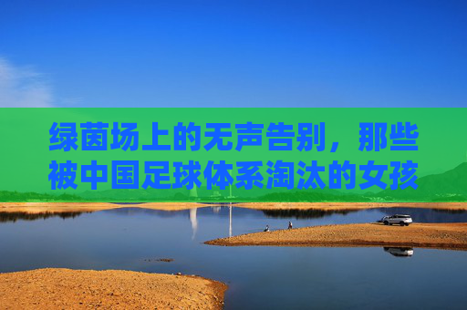 绿茵场上的无声告别,那些被中国足球体系淘汰的女孩们