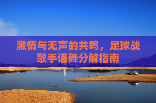 激情与无声的共鸣，足球战歌手语舞分解指南
