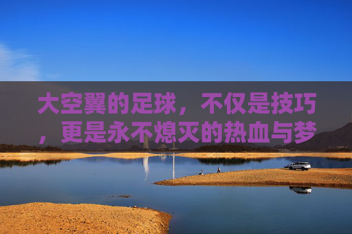 大空翼的足球,不仅是技巧,更是永不熄灭的热血与梦想