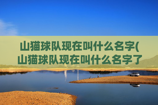 山猫球队现在叫什么名字(山猫球队现在叫什么名字了)