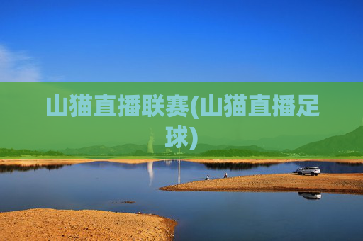 山猫直播联赛(山猫直播足球)